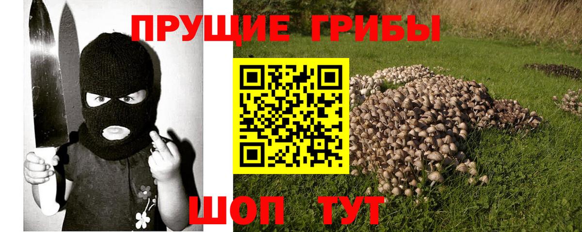 Галлюциногенные грибы Magic Shrooms  Псилоцибиновые грибы мухоморы  сколько стоит  Вход с VPN  Волгоград 