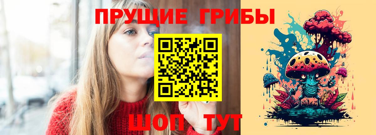 Псилоцибиновые грибы Psilocybine cubensis Волгоград